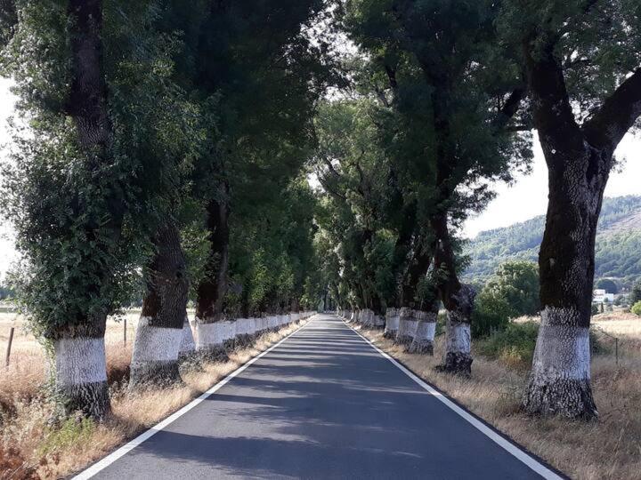 Marvão O Casulo 빌라 외부 사진